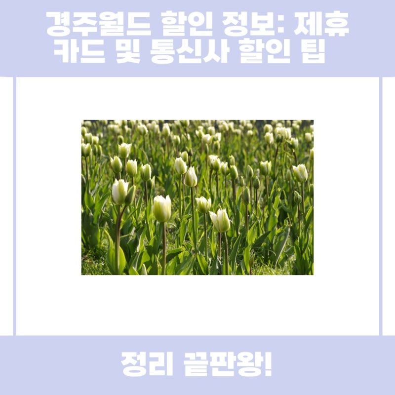 경주월드 할인 정보와 제휴 카드, 통신사 할인 팁 함께 알아봅시다