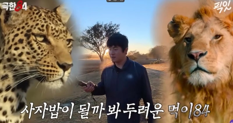 기안84 극한84 약스포 보니 충격, 사자와 뛴다고?