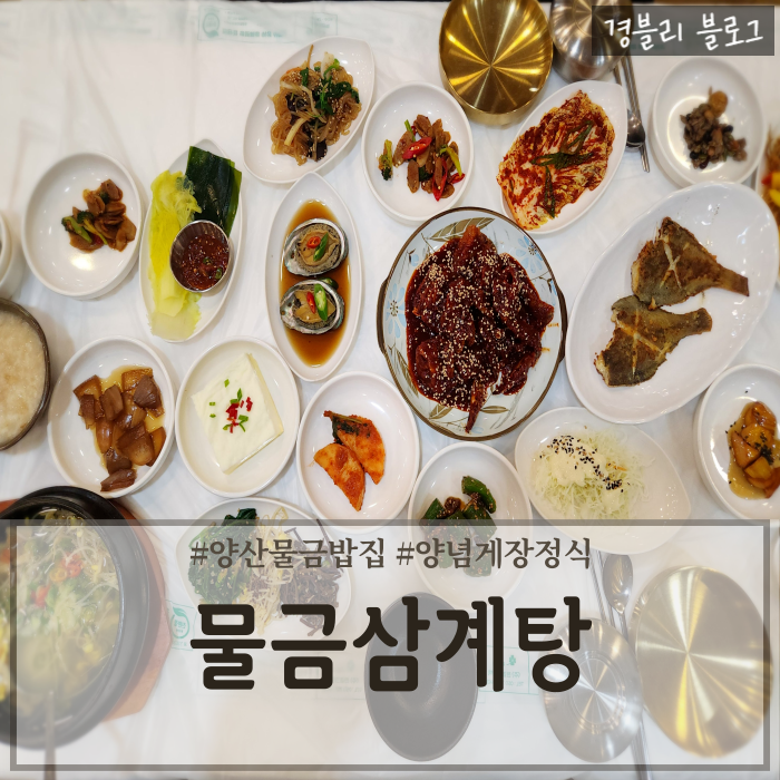  양산물금맛집 부산대양산한정식 양산삼계탕맛집 '물금삼계탕'