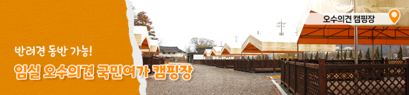 사진 7