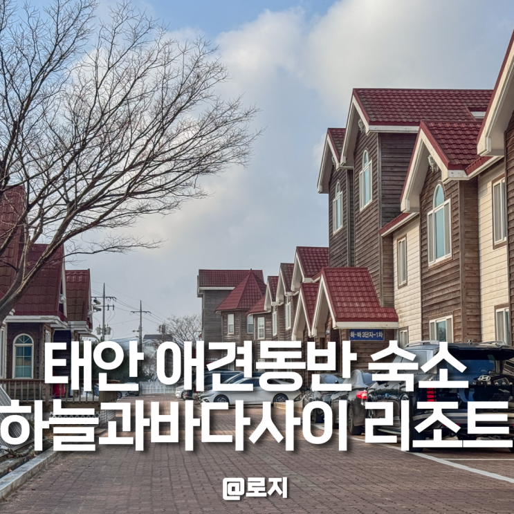  태안 애견동반펜션 가족여행 오션뷰 숙소 추천 하늘과 바다사이 리조트