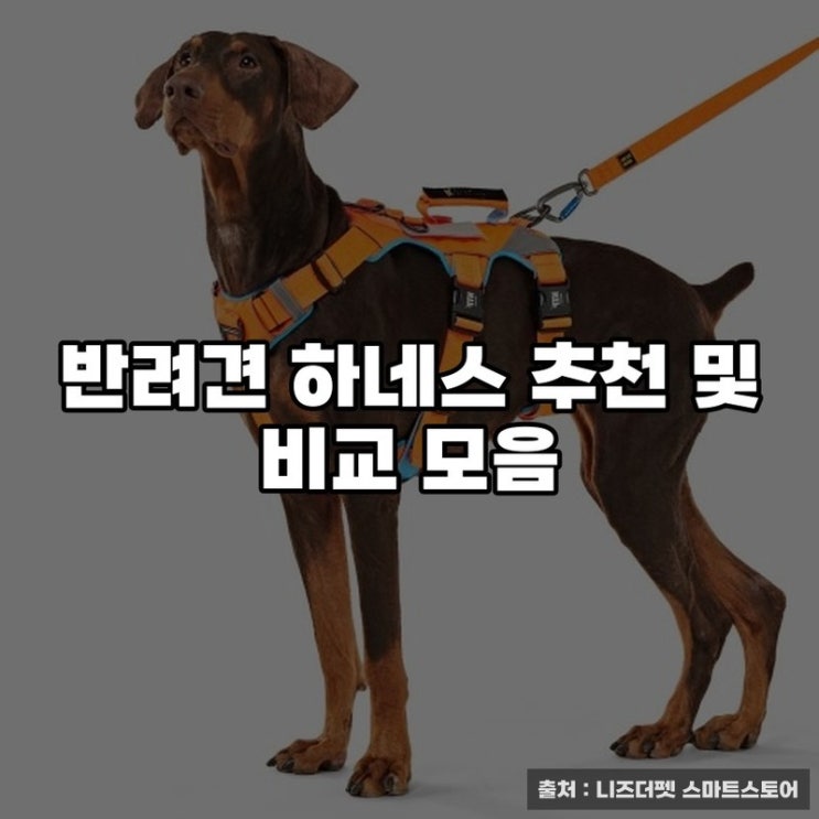  반려견 하네스 추천 및 비교 모음