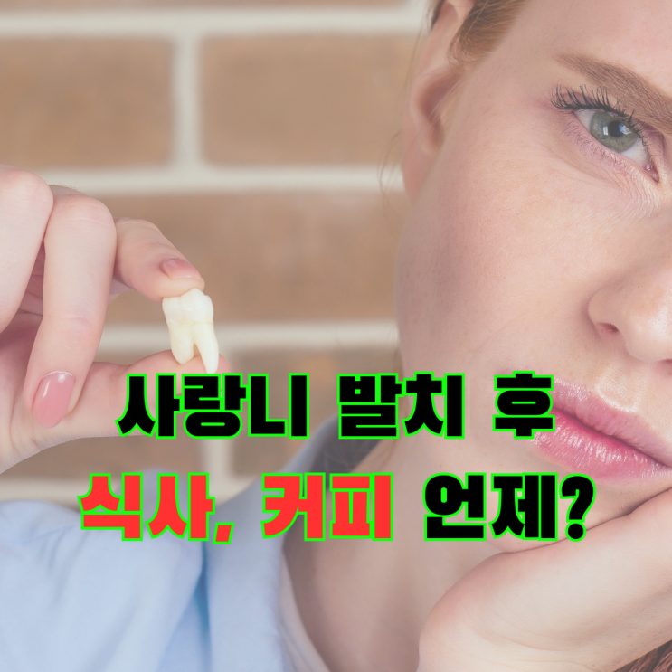  일반 사랑니 뽑고 식사, 발치 후 커피 언제가능할까? (음식메뉴 추천)
