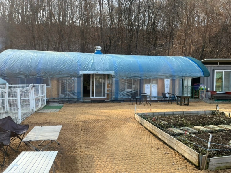 사진 2