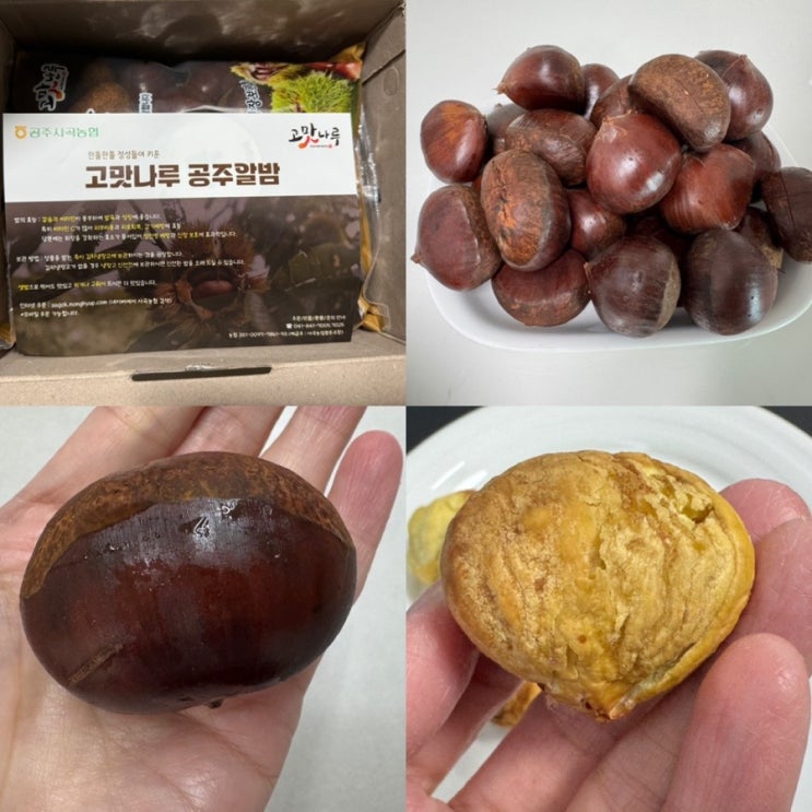  공주 햇밤 위즈랜드안심스토어 공주지역 농협에서 2025년 수확한 고맛나루 공주 알밤 특대사이즈 2kg 주문 후기 ( + 밤 맛있게 먹는법, 밤 보관법, 밤 칼집쉽게 내는법 등)