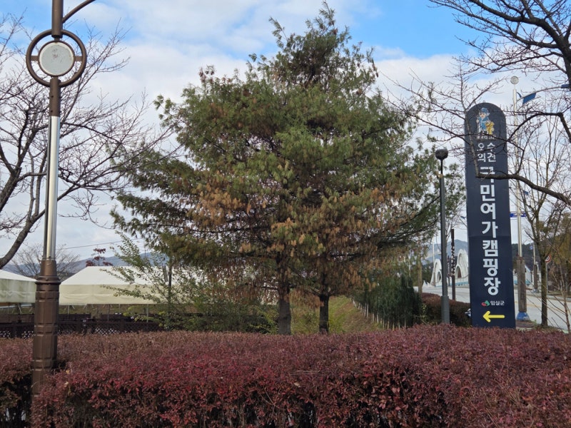 사진 4