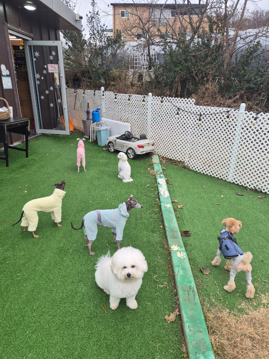 우주꼬맹이 사진 5