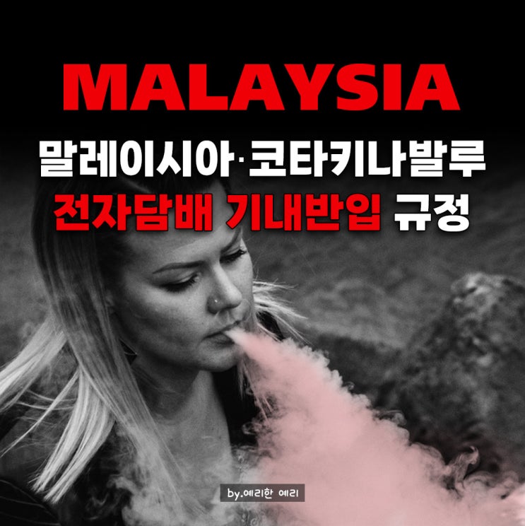  말레이시아·코타키나발루 전자담배 반입 최신규정｜니코틴 액상 규정까지 완벽 정리