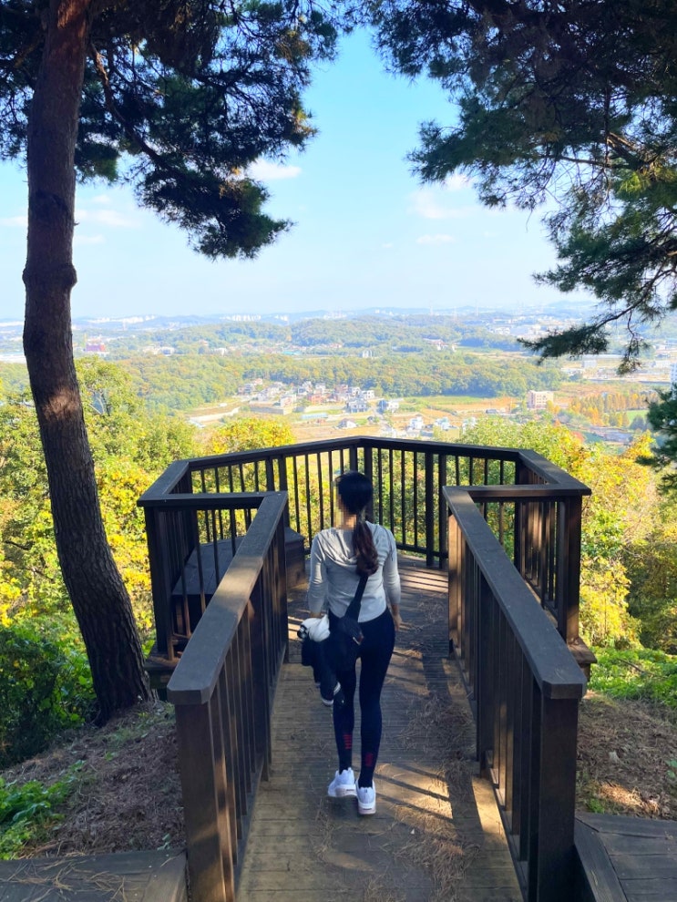 쌍봉산? 두 개라서 두 배로 힘든 줄 알았는데... 두 배로 웃겼던 등산 후기
