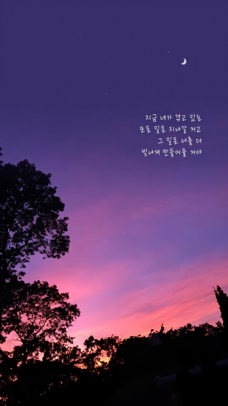  아이폰17 감성 배경화면 10선 배경화면 하루가 더 특별해지는 작은 변화