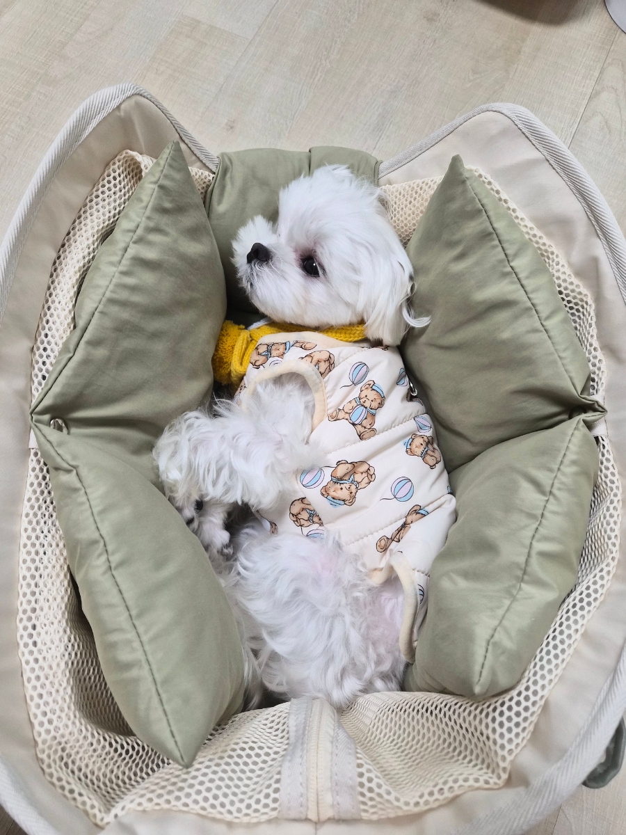 우주꼬맹이 사진 2