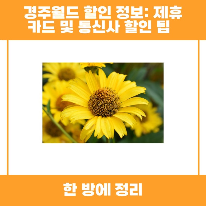 경주월드 할인 정보와 제휴 카드통신사 할인 팁, 자세히 알아보기