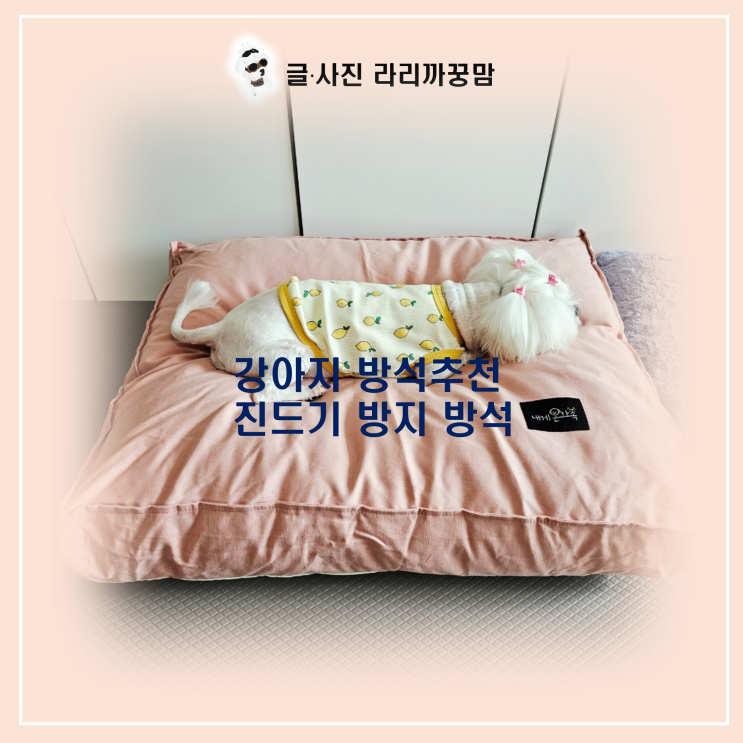 12살 꿍이의 숙면 비밀, 하개랩 강아지 진드기 방지 방석 상세 후기