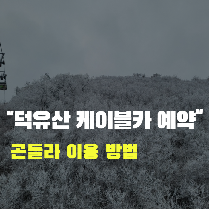 덕유산 케이블카 예약 사이트 곤돌라 예매 방법