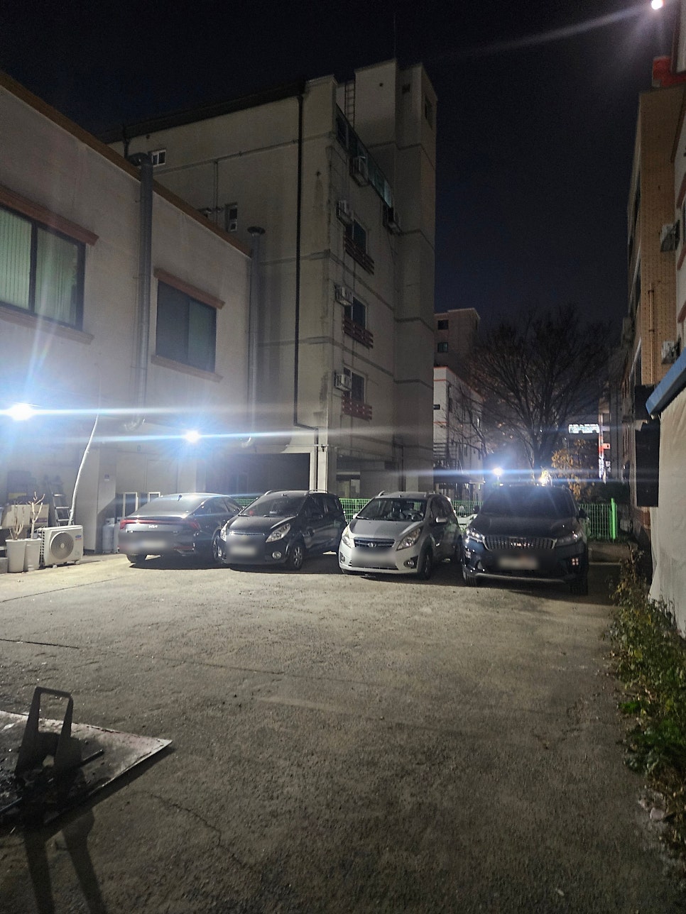 촌닭 사진 3
