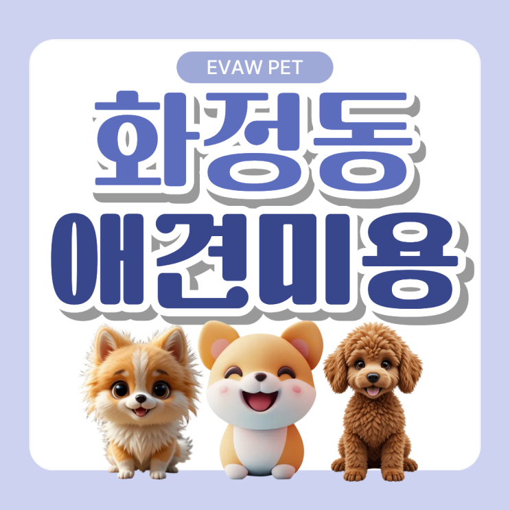  화정동애견미용학원  자격증 취득 전 실견 수업, 먼저 시작해도 될까?