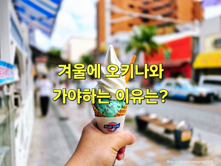  12월 오키나와 여행, 겨울이라 더 좋은 필수 코스 TOP 3