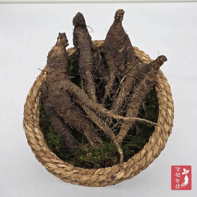 산더덕 야생더덕 효능 판매 가격 비교