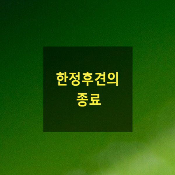  한정후견의 종료(14)(피한정후견인, 한정후견인, 가정법원, 종료, 경질, 변경)