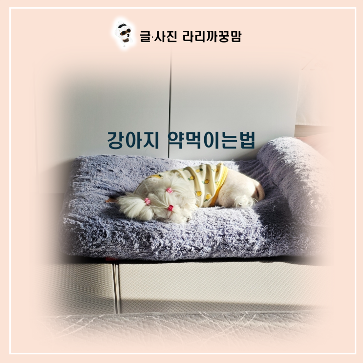  12살 꿍이가 약 먹을 때 진저리친 이유! 쓴맛 잡는 올리고당 한 방울의 마법!