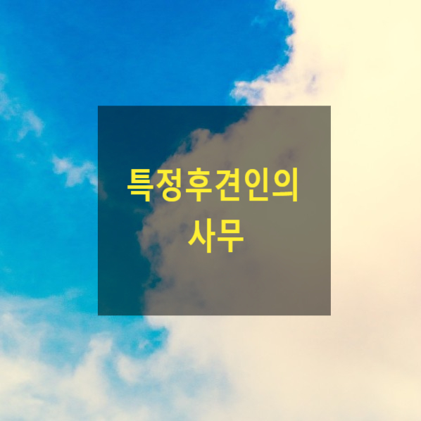  특정후견인의 사무(16)(피특정후견인, 특정후견인, 대리권, 가정법원)