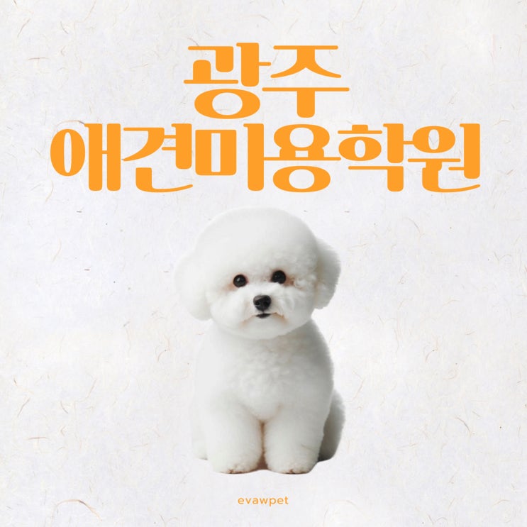  광주애견미용학원 비교 후기(시간표, 수강료 등)