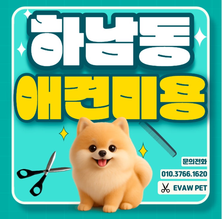  하남동애견미용학원: 반려견 케어부터 취업과 창업까지 가능한 자격증