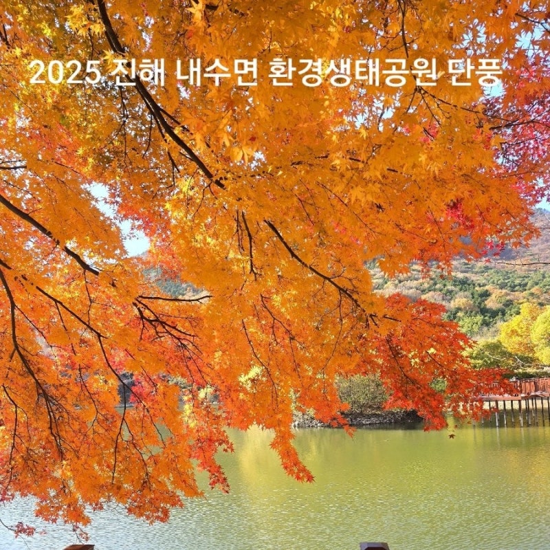 사진 5
