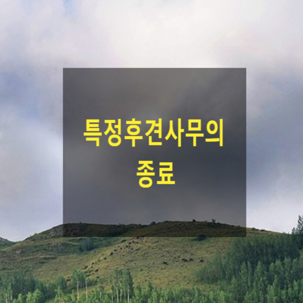  특정후견의 종료(18)(피특정후견인, 특정후견인, 가정법원, 종료, 사망, 사임, 변경)