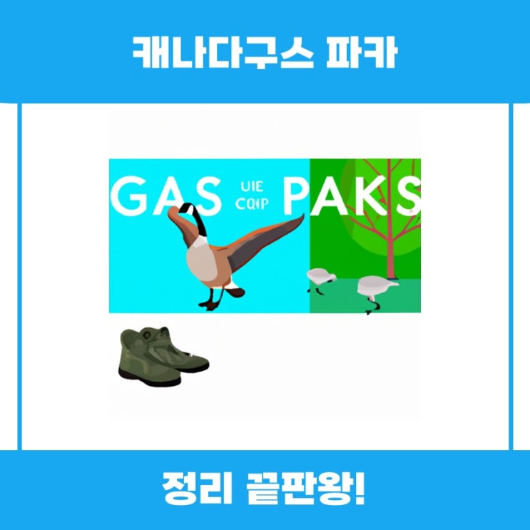  캐나다구스 파카의 특징과 착용 팁 알아보기