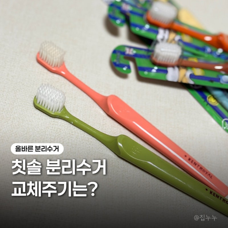 칫솔 분리수거 가이드 대나무 전동칫솔 버리는법