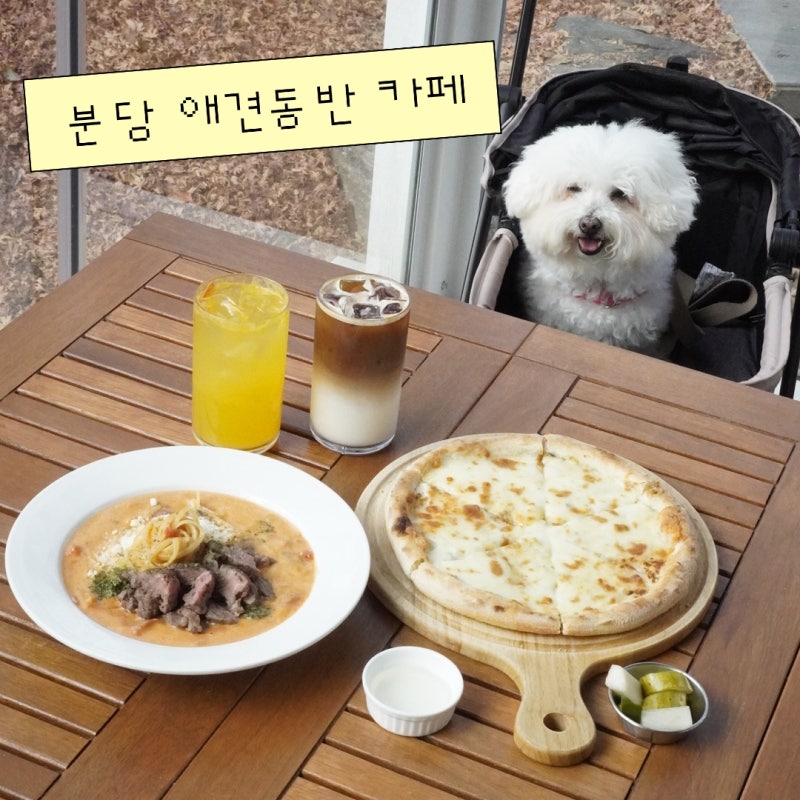 사진 7