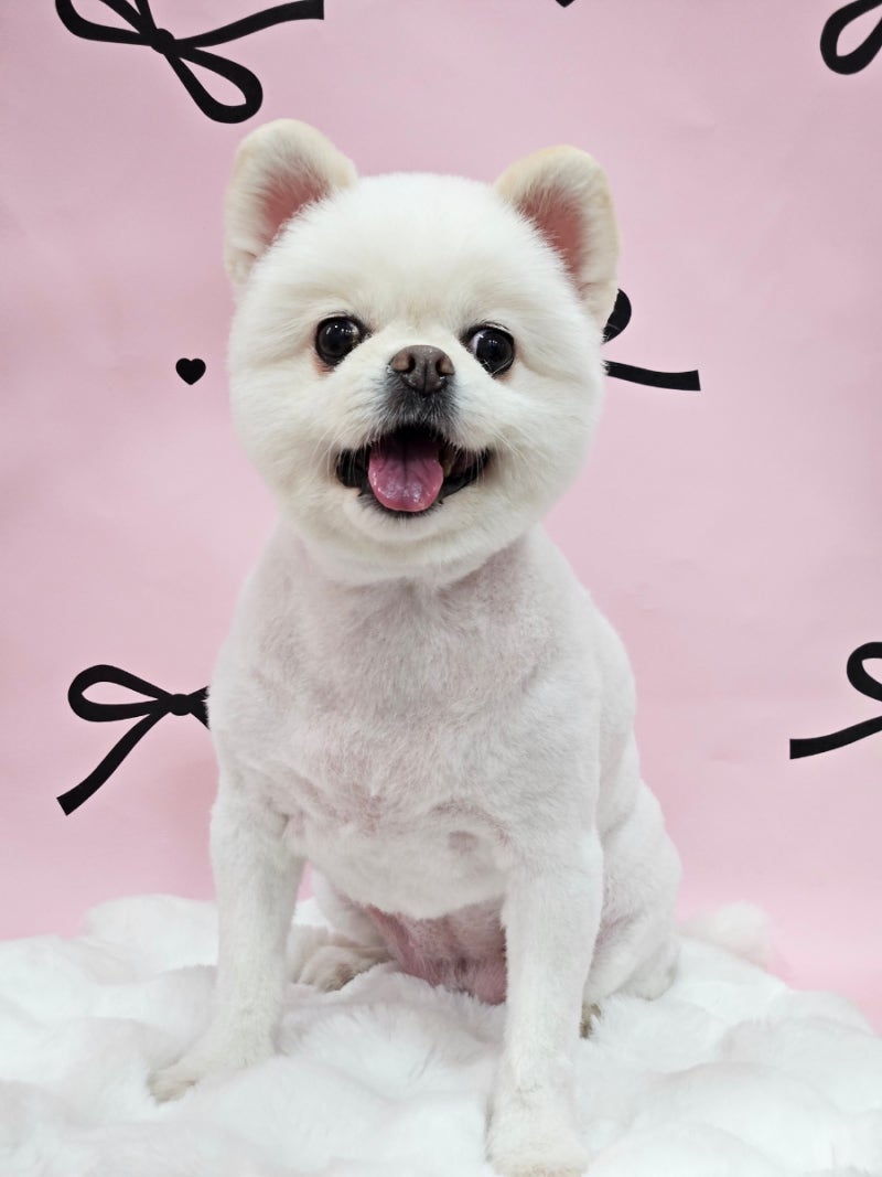 사진 4