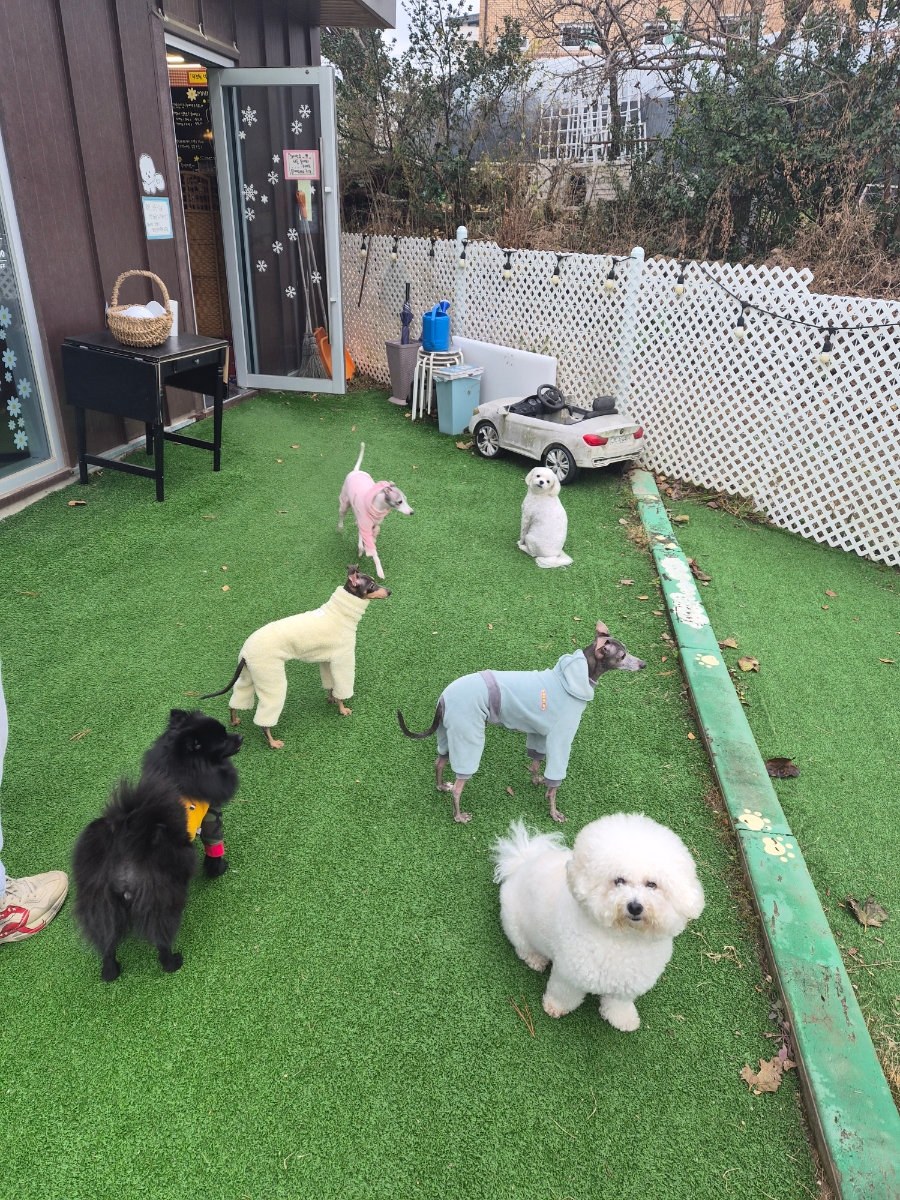 우주꼬맹이 사진 3