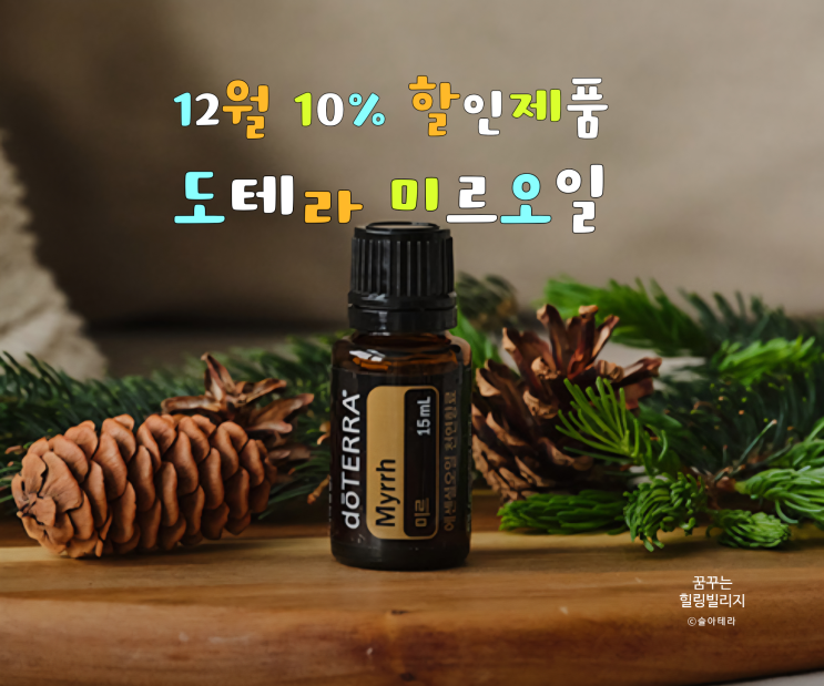  12월 도테라 소식 홀리데이 선물세트 할인제품 신규회원 프로모션