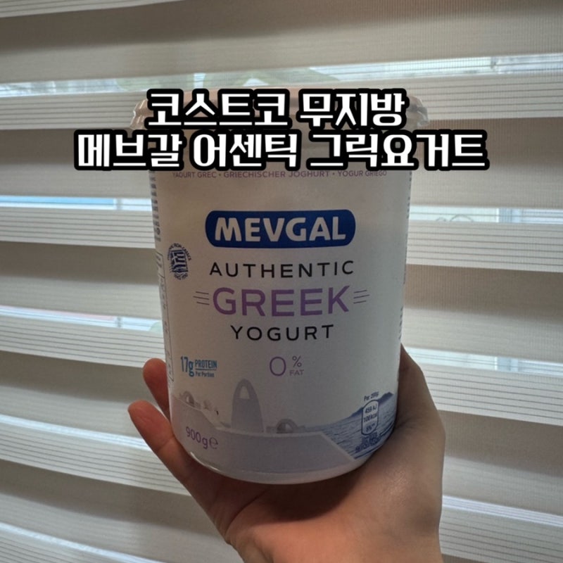 코스트코 무지방 메브갈 어센틱 그릭요거트 그리스산 •꾸덕 안 함
