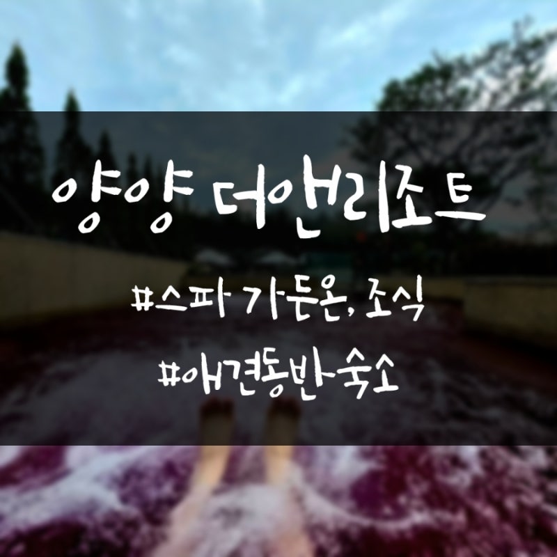 양양 더 앤리조트 조식 부대시설 가든온 스파 정보 애견 동반 가능