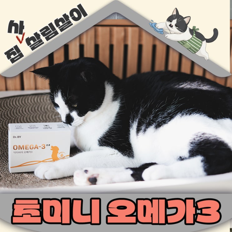  고양이 오메가3 급여하기 어렵지 않아요~초미니로 스스로꿀떡