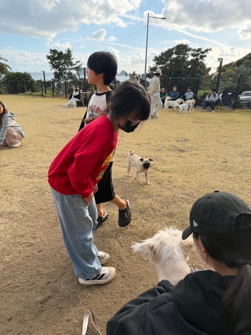 사진 6
