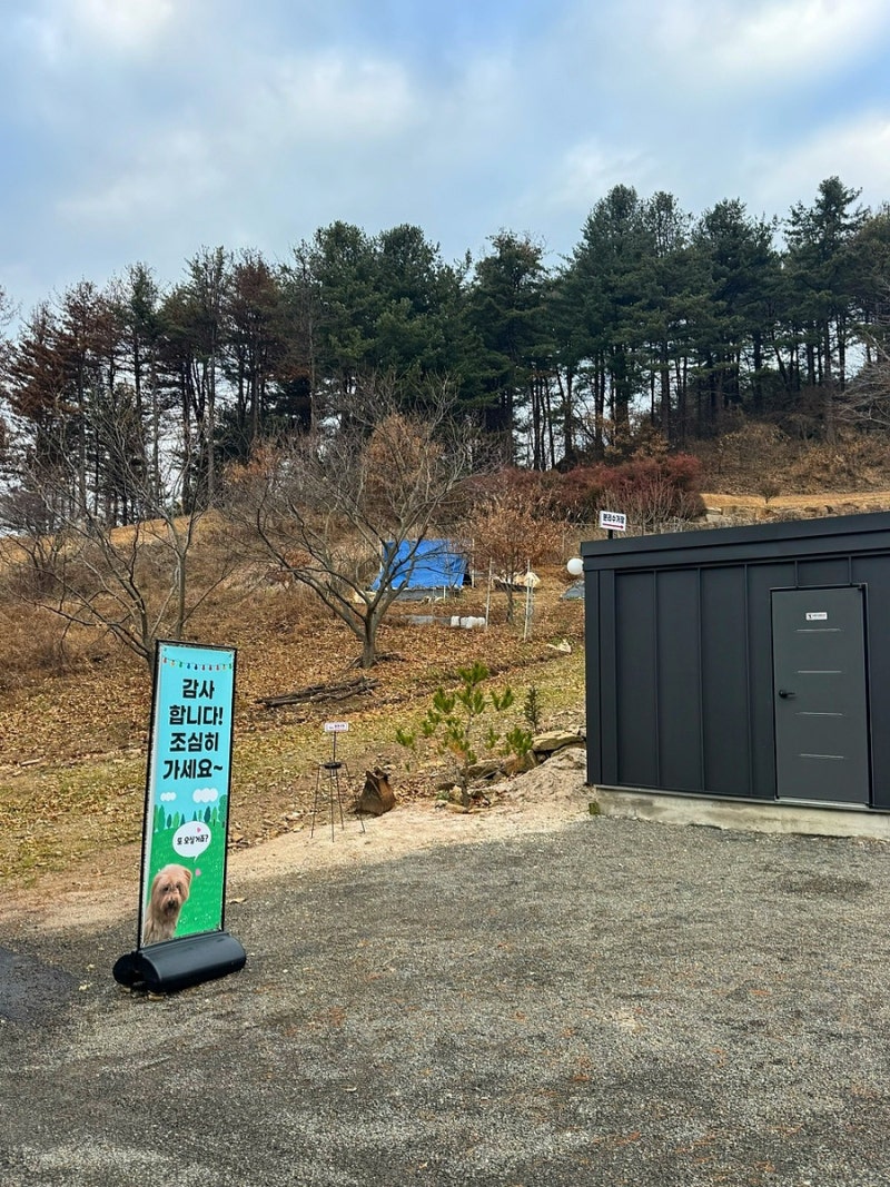 사진 2