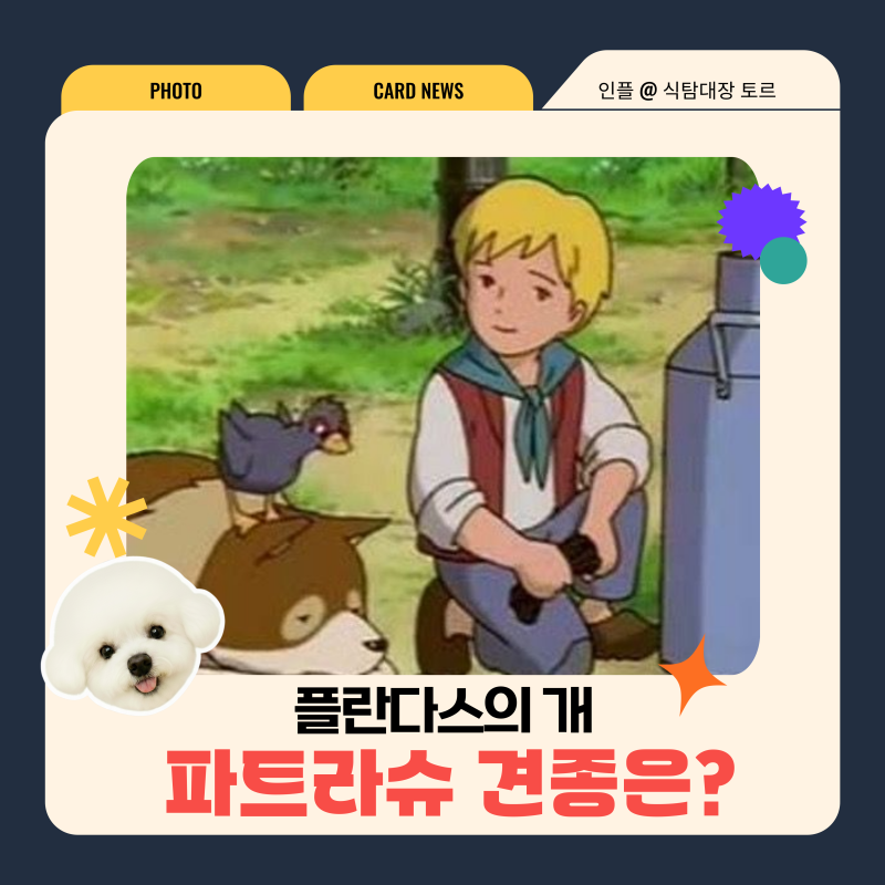 사진 5