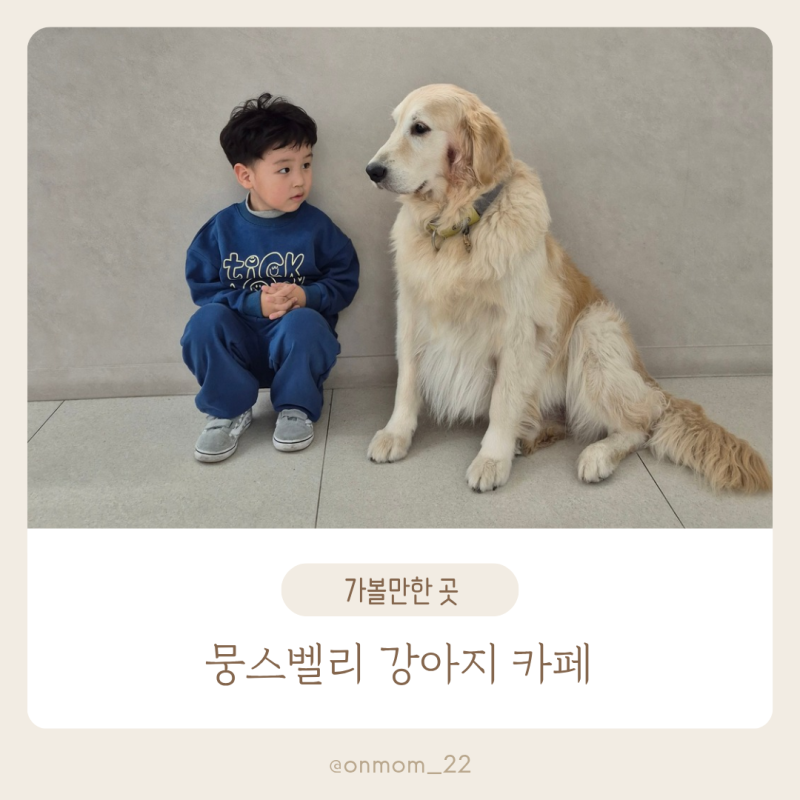 사진 4