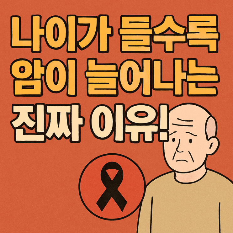  나이가 들수록 왜 암 위험이 높아질까? 연령별 변화 완전 정리