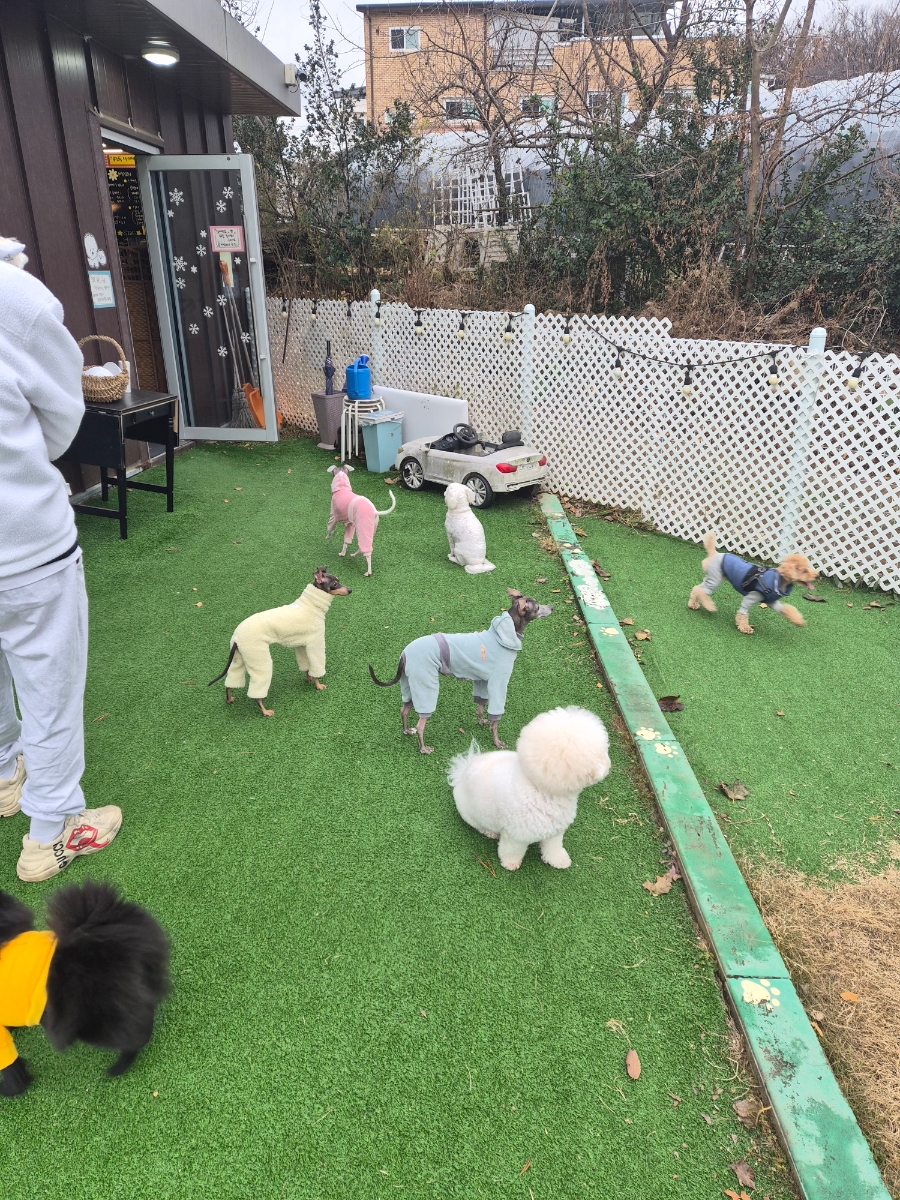 우주꼬맹이 사진 4