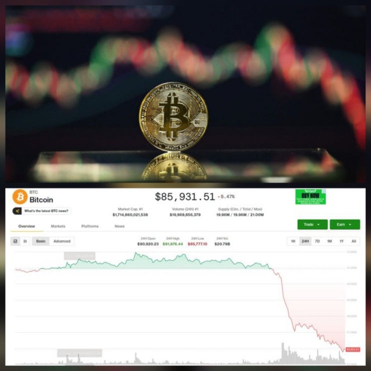 비트코인 6% 급락 배경 향후 시장 시세 가격 전망