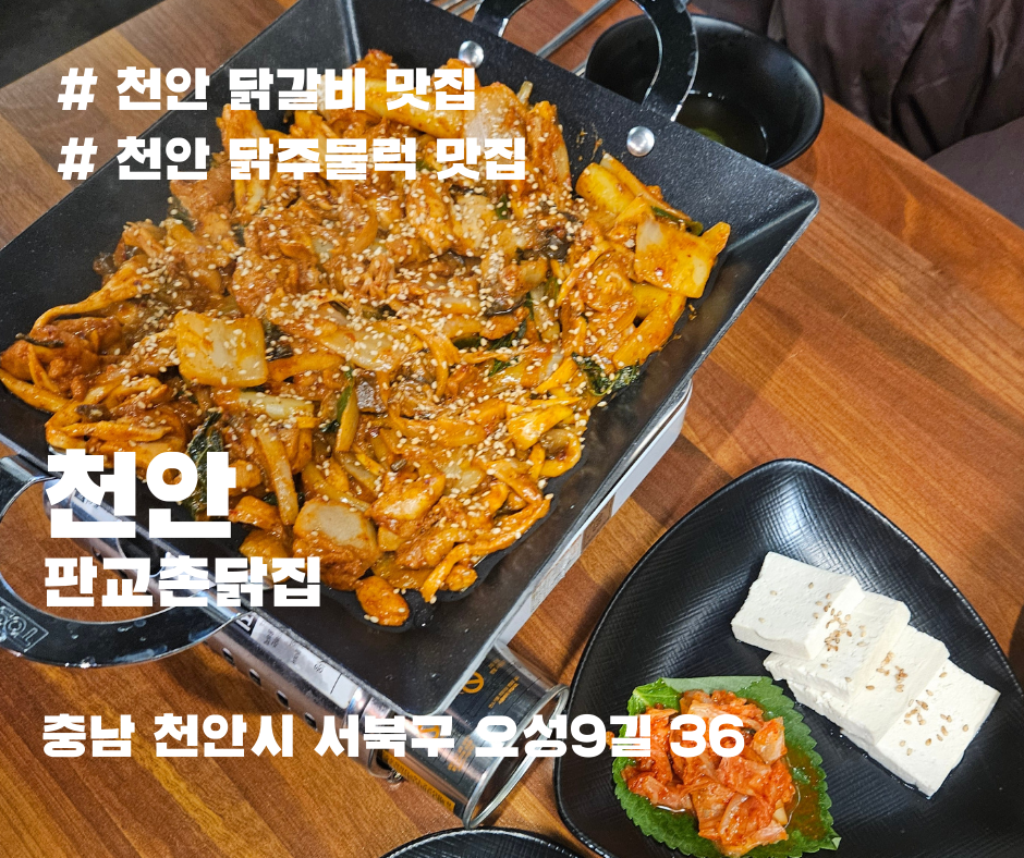 촌닭 사진 1