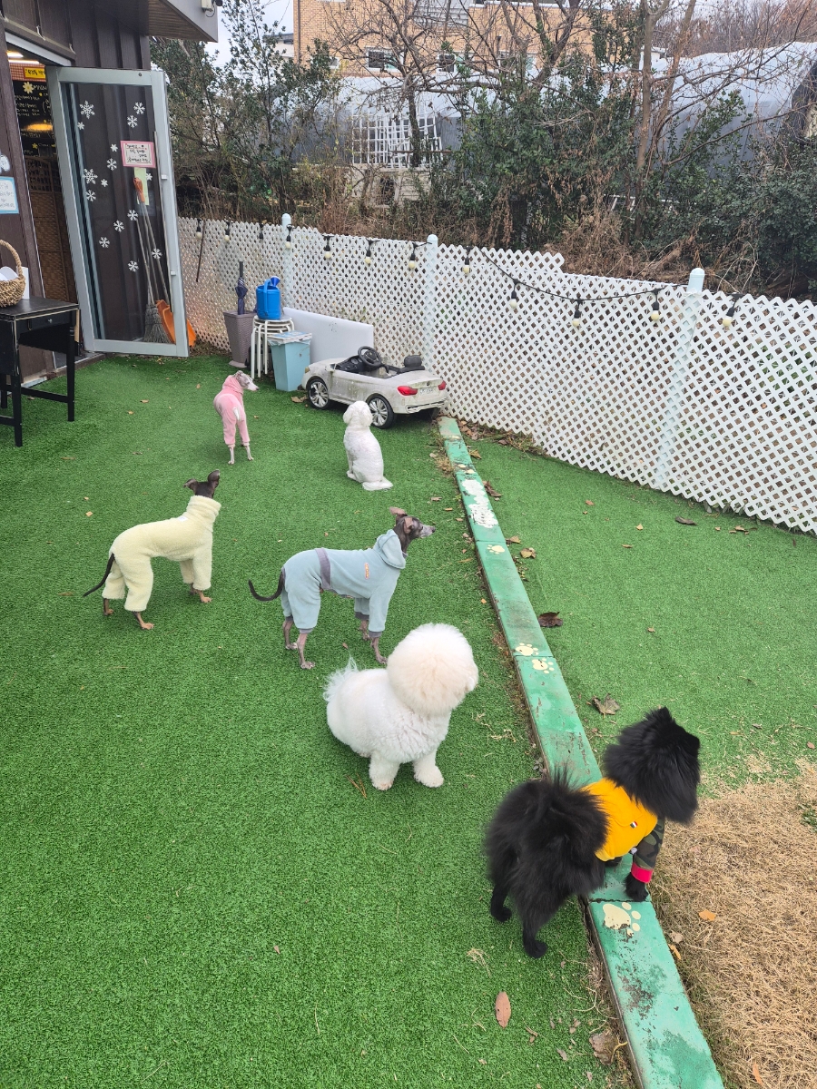 우주꼬맹이 사진 6