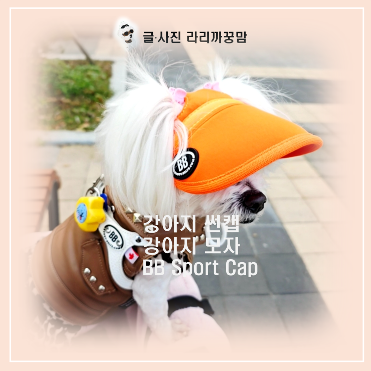  꿍이와 잘 어울리는 강아지 썬캡, BB Sport Cap 착용기