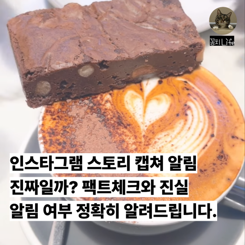 햇갈리는 인스타그램 기능, 스토리 캡쳐 알림 유무와 DM 캡쳐 알림 완벽 정리