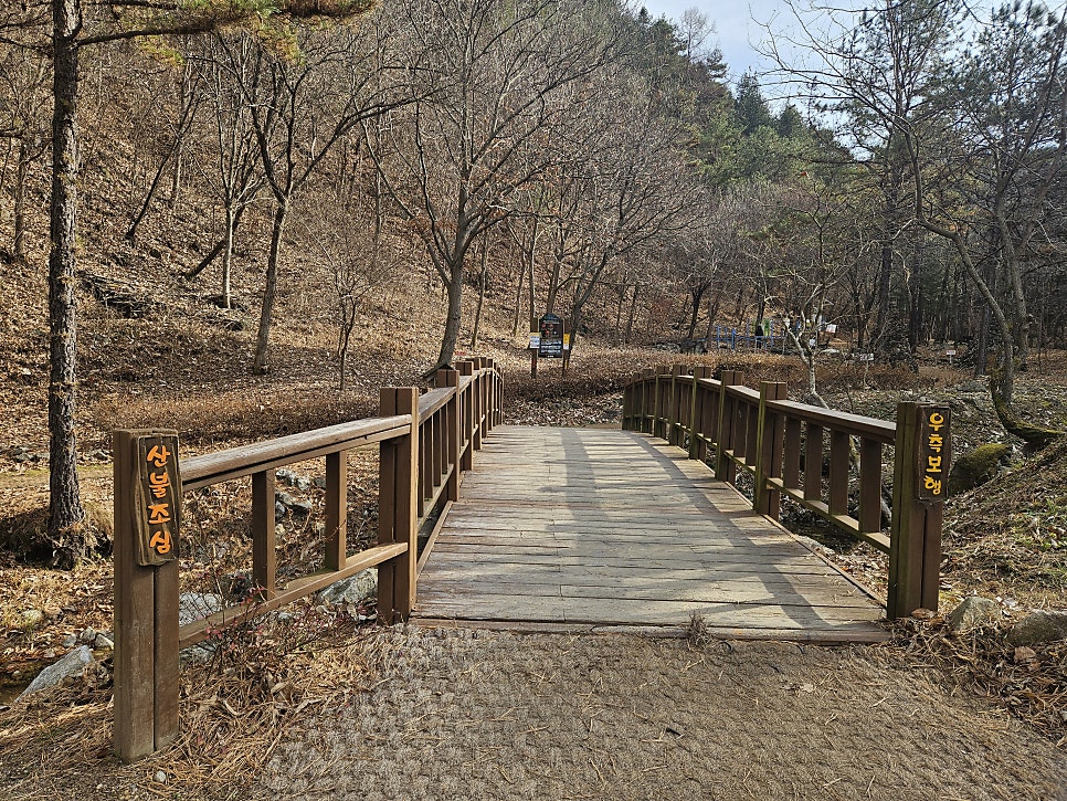 남산산림욕장 사진 5